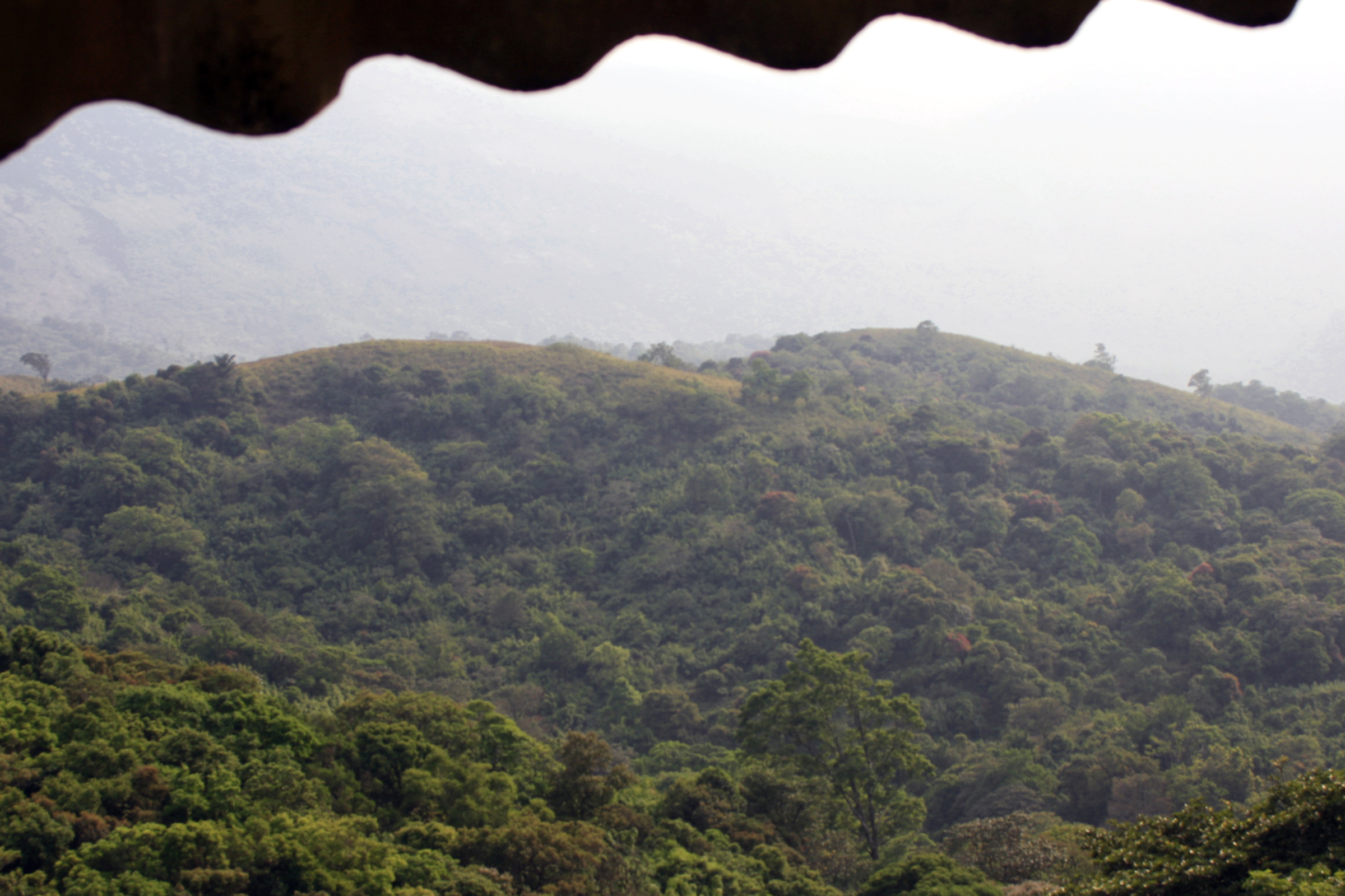 Silent_Valley_National_Park[1].webp